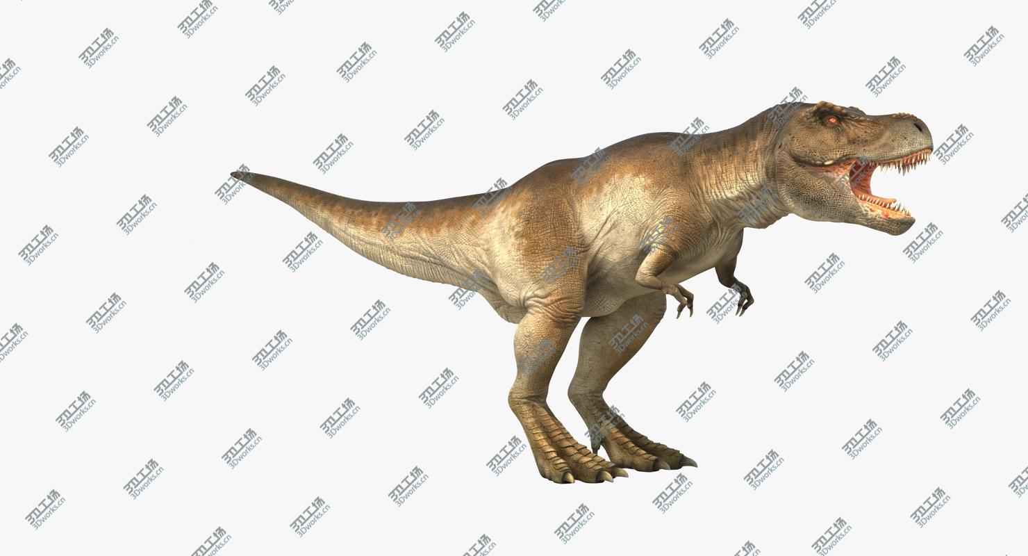 images/goods_img/2021040165/Tyrannosaurus Rex Rigged/3.jpg